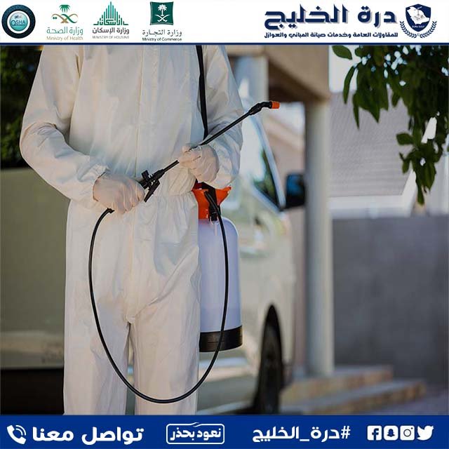 لا يُرحب أبدًا بالحشرات الموجودة في منزلك، خاصةً إذا كنت تتعامل مع النمل أو الصراصير أو الفئران أو النمل الأبيض أو بق الفراش. لحسن الحظ ، يمكن لشركات مكافحة الحشرات بالقصيم المساعدة في رعاية هذه الإصابات نيابة عنك. مع وجود العديد من مقدمي الخدمة للاختيار من بينهم ، قد يكون من الصعب على مالكي المنازل معرفة أفضل شركة لمكافحة الآفات بالنسبة لهم. لهذا السبب قام فريق درة الخليج بتقديم العديد من خدمات مكافحة الحشرات وحصر أفضل اختياراتنا في أفضل نتيجة مكافحة حشرات بالقصيم . تقدم درة الخليج مواد عالية الجودة وتوفر الحماية من المضايقات المتخصصة مثل النمل الأبيض وبق الفراش وغيرها من الحشرات يمكن أن تساعدك شركة مكافحة حشرات بالقصيم من درة الخليج ليس فقط في علاج الآفات ولكن أيضًا تساعد في منع وجود الآفات غير المرغوب فيها لاحقًا